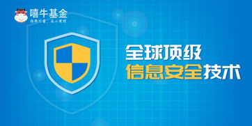 双重监管筑牢安全基石 嘻牛基金在湖南信息系统中的实践与启示